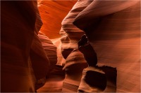 Antelope 05 (2020*)