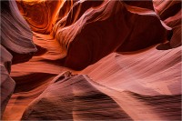 Antelope 08 (2019*)