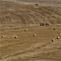 Nei campi (2012)