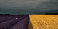 Provence 01 (2020)
