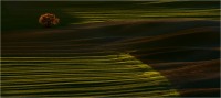 Toscana attimi di luce 26 (2018)