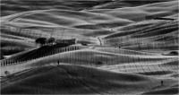 Lights in Val dOrcia 11 (2022)