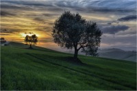 Toscana attimi di luce 23 (2016)