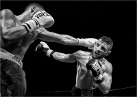Box 02 (2019)