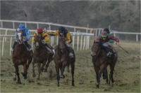 Gallop in the rain 01 (2019*)