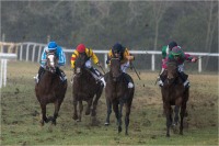 Gallop in the rain 02 (2020)