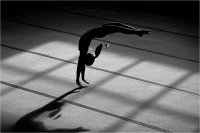 Gymnast (2019)