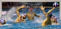 Pallanuoto 01 (2017)