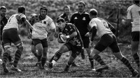 Rugby 01 (2019)