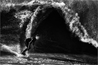 Surfer (2018)