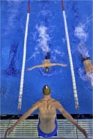 Swimming relay 01 (2017)