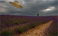 A gust of wind (2019*)