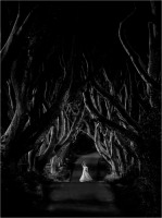 Like in a dream (2019)