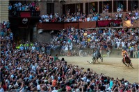Palio la caduta (2020)