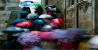 Umbrellas (2018*)