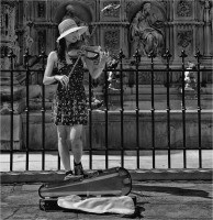 Violin (2014)