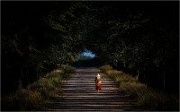 Walking in Provence (2019*)